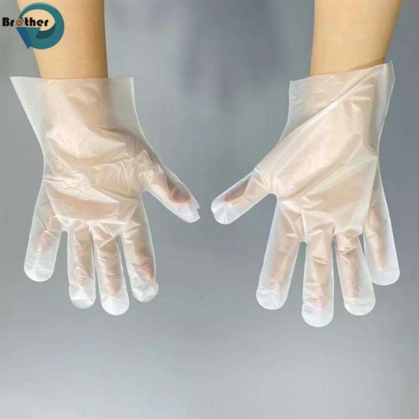 Compostable Gloves Package Pla Biodegradable Disposable Tableware Food Grade Gloves