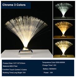 Remote Control Colorful Christmas Xmas Party Decor Luminous Flower Lamp Gradients Led Optic Fiber Star Light
