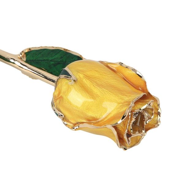 High Quality Gold Trimmed Rose Preserved Flower Beautiful Handmade Gifts for Woman