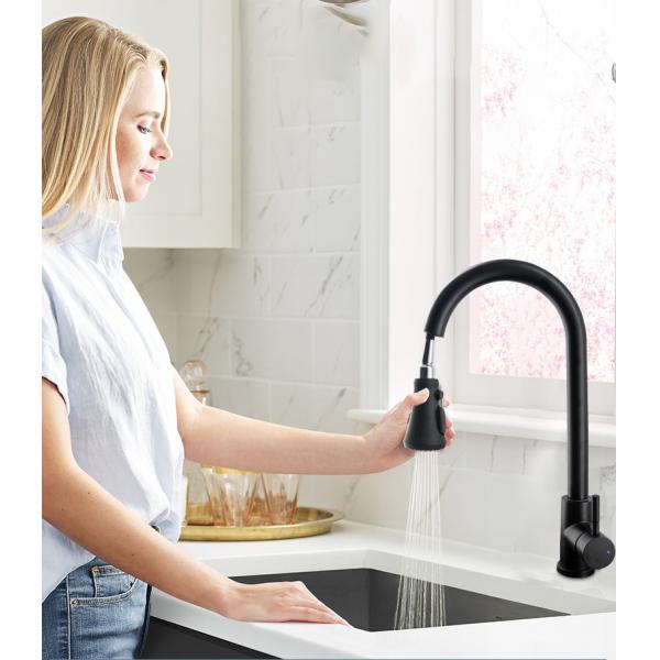 Stainless Steel Spray Matt Black Kitchen Faucet