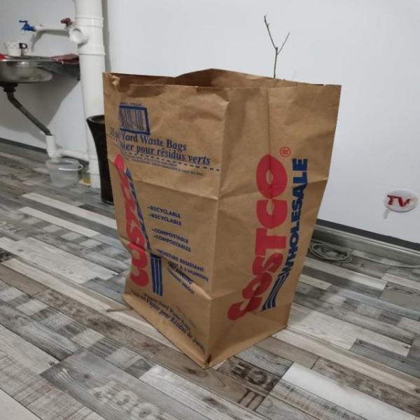 Accept Custom Recyclable Paper Lawn Waste Bags Large 30 Gal