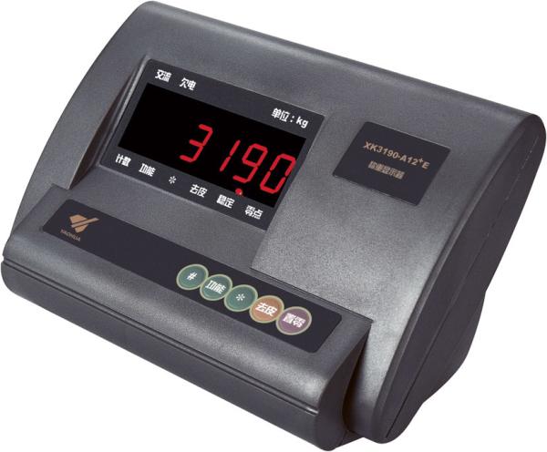 Commercial Large Freight Industrial Floor Weighing Scales 3000Kg 4x4m Carbon Steel