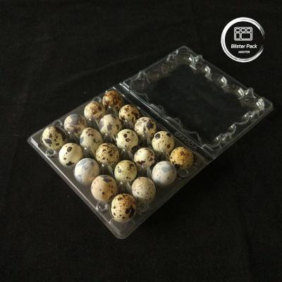Caixas de ovos de plástico transparente PET acessíveis com tampa 20 24 30 células para codornizes descartáveis
