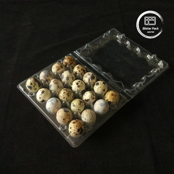 Affordable PET Clear Plastic Egg Trays with Lid 20 24 30 Cells for Disposable Quail