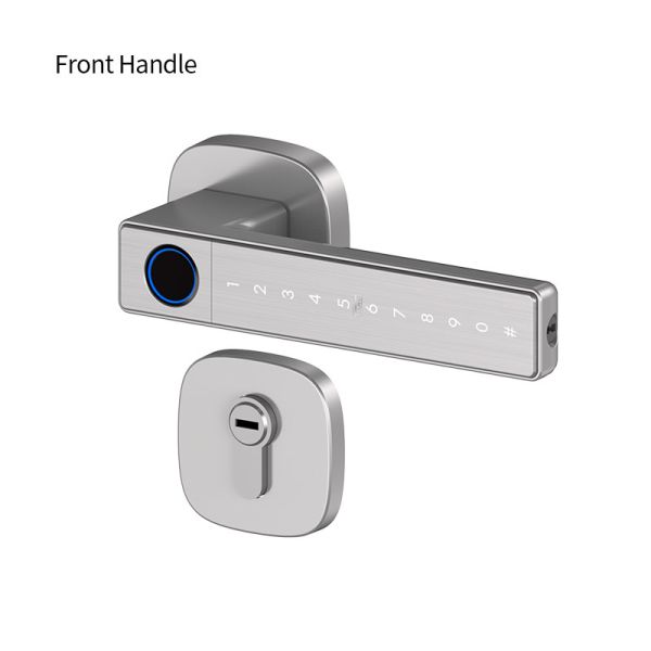 Tuya Smart Lock Durable Aluminum Alloy Auto Entry Door with Fingerprint Password Card and for Easy Installation
