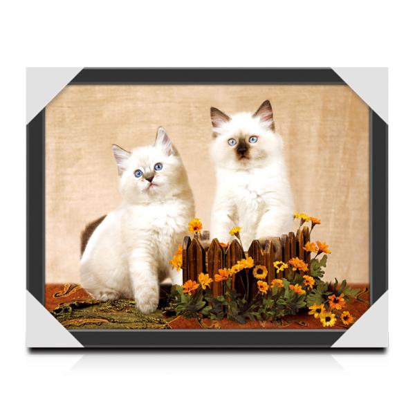 Wall Art 3D Lenticular Picture Flip Cute Cats And Dolphins With 12X17 Inches