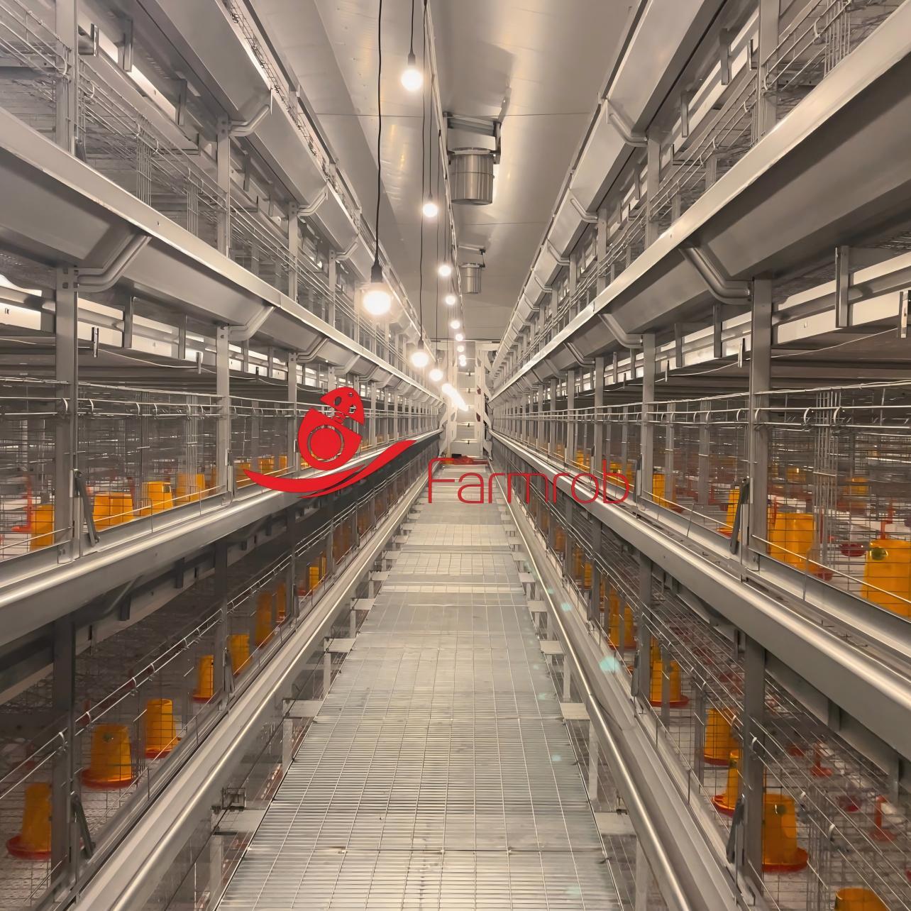 Multi-Tier Robust Structure Poultry Battery Cage System Suitable for Large Poultry Farms