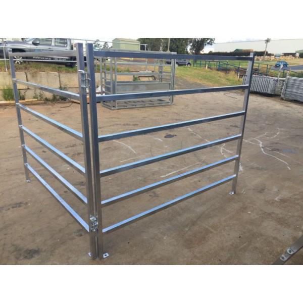 Livestock panels / Cattle panels 1.6m x 2.1m hot dipped galvanized aus standard