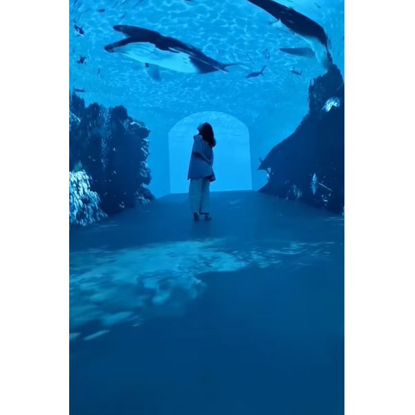 Immersive Flexible Curved LED Videos Walls Display 3D Interactive Tunnel LED Screen