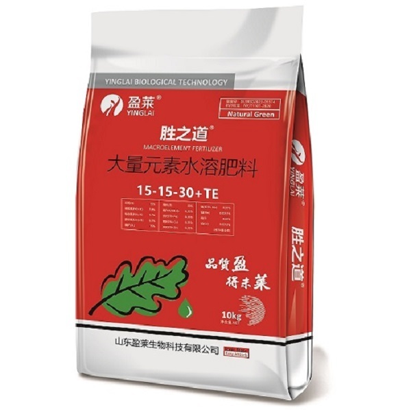 Good Air Permeability Printed Woven Polypropylene Sacks Reusable