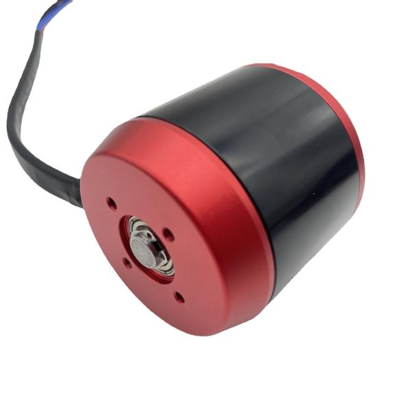 Faradyi Customized Waterproof 50-150NM 6699 12V 24V 36V Gear Electric Brushless Bldc Dc Motor For Surfboat Jet Boat