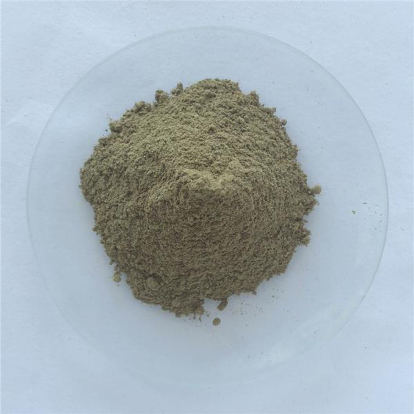 wholesale anti cancer chlorella vulgaris extract for capsules
