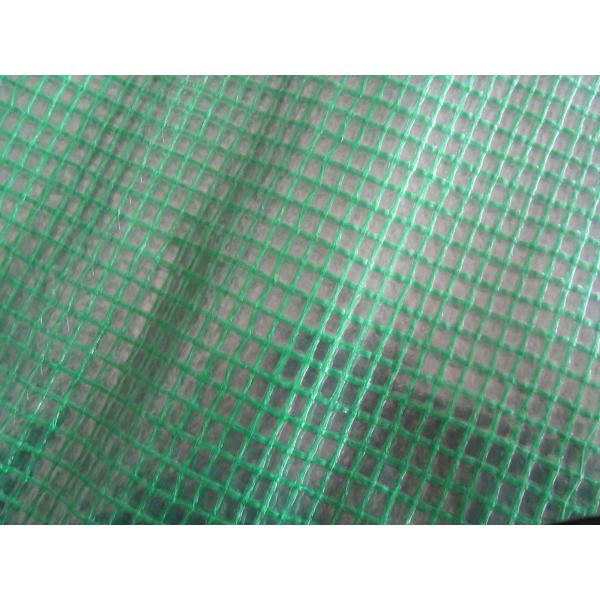 clear net poly tarps, waterproof roofing pe tarpaulin