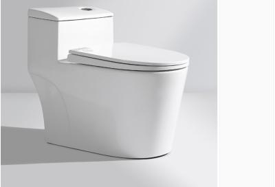 Banheiro de cerâmica branco de uma peça