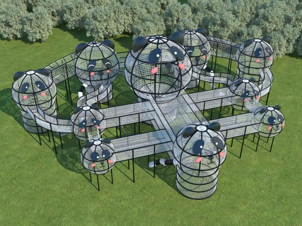 Kids Climbing Adventure Park Outdoor 5 Passengers Fun Commercial Playground Equipment