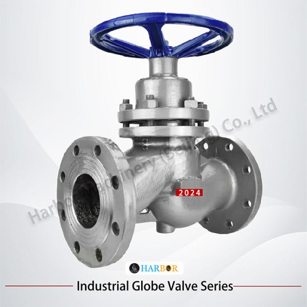 Flanged Connection Plunger Globe Valve for Steam DN15-DN250 Cast Steel US41M-16C