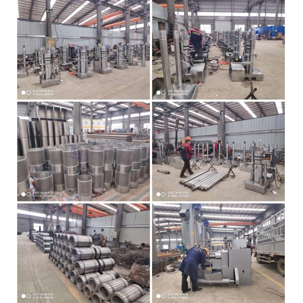 6YY-230B Automatic High Oil Rate Hydraulic Oil Press Machine Industrial Oil Presser