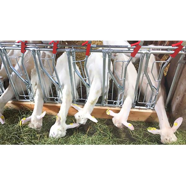 Алюминиевое стекло из сплава металлического металла Конструкция помещения для фермы козов Стальная конструкция Дом для овец Приют PKPM Рисунок