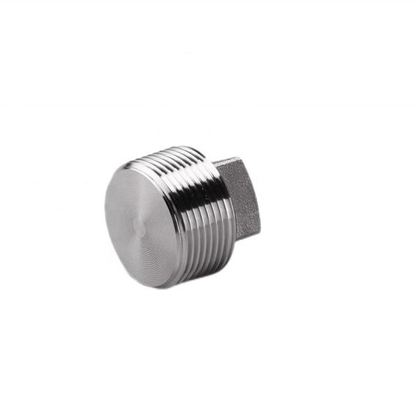 Silver Coated WZ Stainless Steel 304 316 316L High Pressure Forged Square Plug NPT BSPT