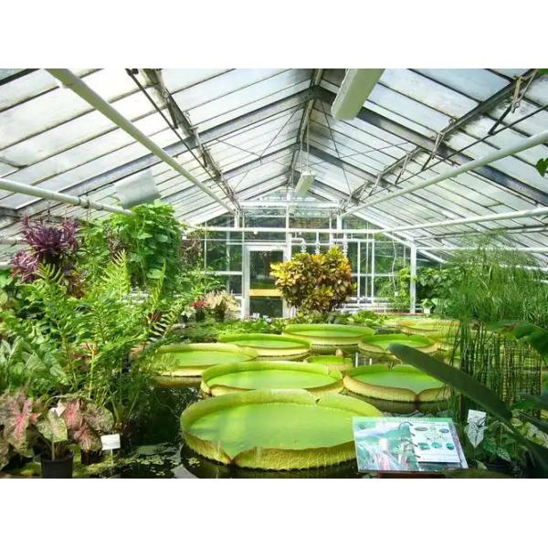 Tempered Greenhouse Glass Panels CE Approved 4mm Greenhouse Glass