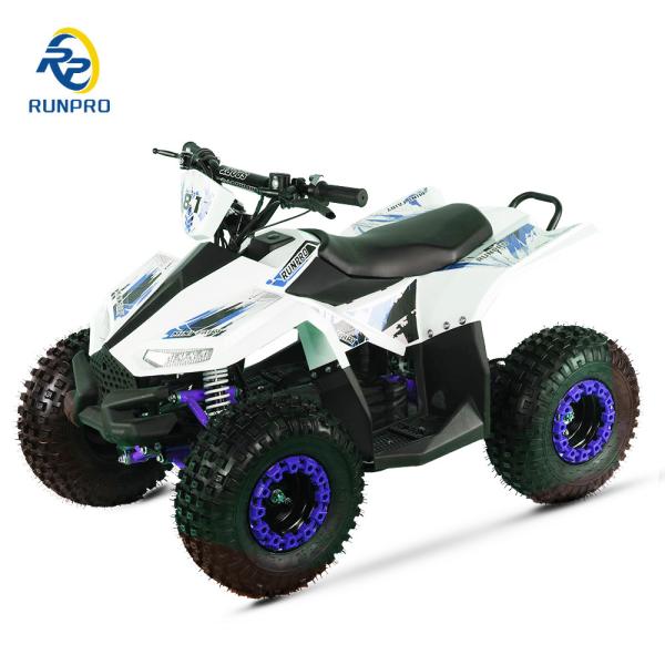 1200W48V ATV elétrico Acionamento de eixo 4 Wheeler Kids Quad Elétrico Quad Quad Wheeler com CE 2024