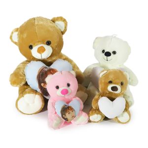 Custom Colorful Teddy Bear Sublimation Blank Printable Teddy Bear T-Shirt With Heart Pillow For Gifts Birthday Valentine'S Day