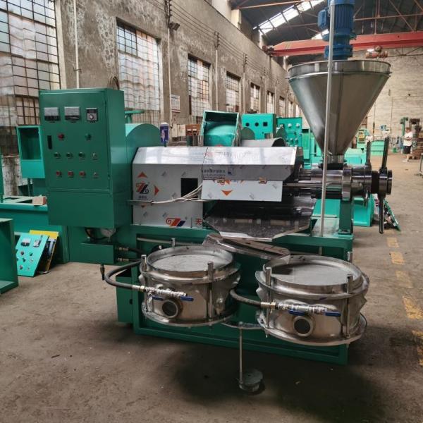 Máquina pequena de aço inoxidável automática da extração do óleo da imprensa de parafuso da máquina de pressão do óleo das sementes
