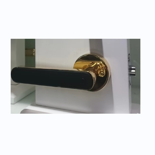 Высокобезопасность жилые дверные замки электронные входные дверные замки