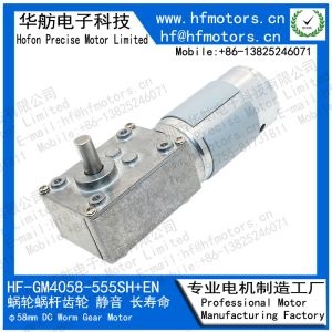 вращающий момент 12V 72RPM 24V 280RPM большой над мотором GM4058-555Shipping и регуляцией шестерни червя DC 5N.M
