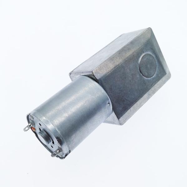 Faradyi Hot Sale Micro Mini 12v 24V Low Speed High Torque Dc Motor With Worm Direct Gear
