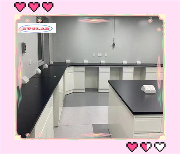 Customizable Chemistry Lab Bench With Sinks Insertion Aluminum Alloy Handle For Hospital