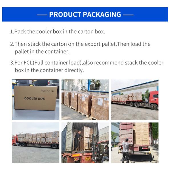30L Vaccine Transport Cooler Box Blood Specimen Cool Medicine Box