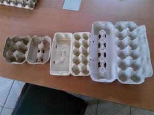 Reciprocando o tipo linha de produção capacidade pequena da bandeja do ovo da m