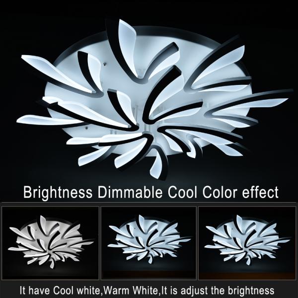 Remote led ceiling lights Modern for bedroom dimmer ceiling lamps acrylic aluminum body light fixture (WH-MA-49)