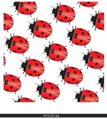 Printed roller blinds and fabric,hot sale electric printed roller blinds for window curtains,2017 popular  style printed