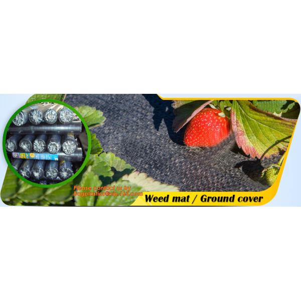 PP woven weed mat,ground cover, black fabric,weed barrier for agriculture, weed killer fabric, agricultural anti weed ma