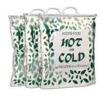 Os sacos 4hours isolados frios quentes descartáveis plásticos tomam parte num piquenique uso