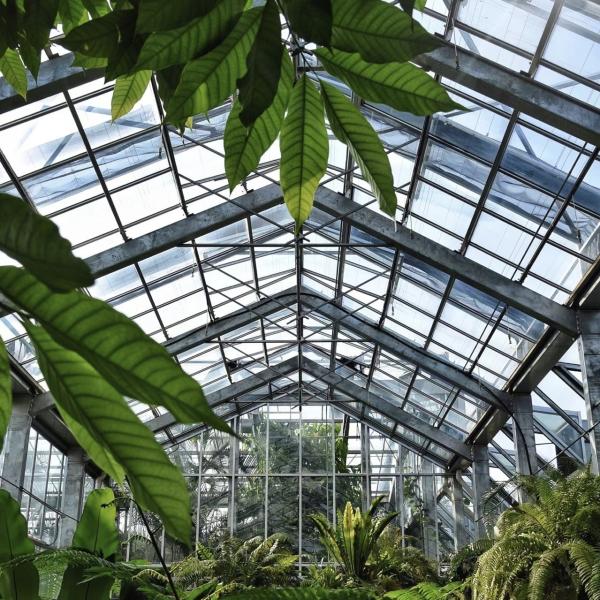 Estufa de vidro hidropônica para cultivo de flores 30 dias de devolução reembolsa um tipo de telhado