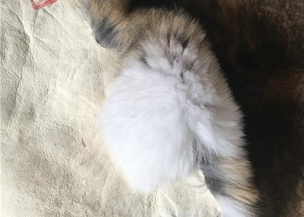 a pele tingida lisa do coelho de 30*40cm tamborila confortável morno para o vestuário do inverno