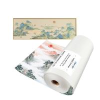 260gsm Polyester Canvas Rolls Matte Latex Ink Waterproof for Printing