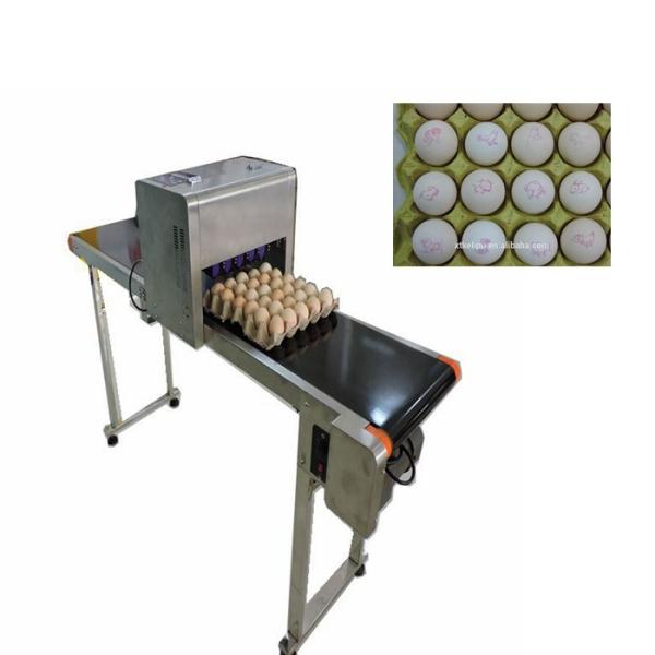 Multiple Nozzle Egg Industrial Inkjet Barcode Printers With Six 45ml Ink Cartridges
