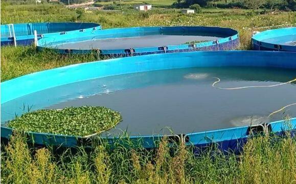 50000L Flexible pliable 0,9mm PVC bâche aquarium de poisson à l'extérieur étang de poisson Diy étang de poisson