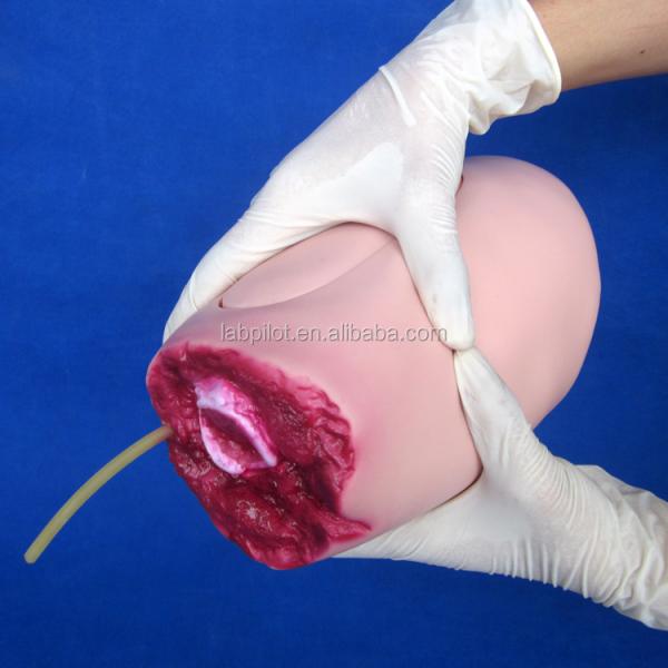 Advanced PVC Model The Ideal Solution for Lower Limb Trauma Thigh Amputation Nursing