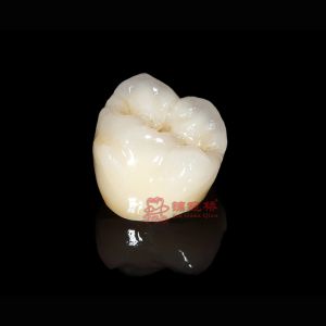 China Dental Lab