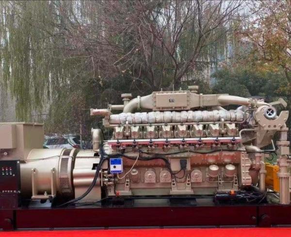 Cylinder Arrangement Form V 12V190 Series Marine Engine for Jichai Chidong in Jinan