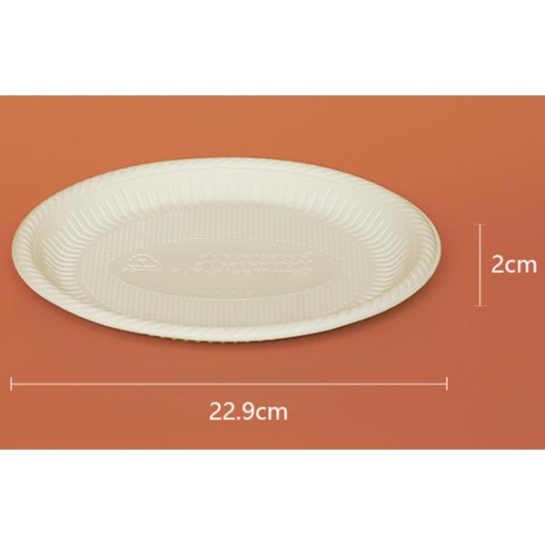 Supermarket Bagasse Food Tray Disposable Food Grade Various Sizes Available