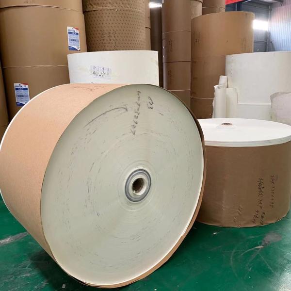 o PE 170g de 500mm revestiu a matéria prima 100% de papel da polpa de madeira do Virgin do rolo