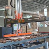 Máquina de carregamento e descarregamento inteligente com transportador de rolos e paragem de emergência