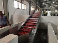 Ligne de production de sauce tomate entièrement automatique pour les usines de transformation de tomates