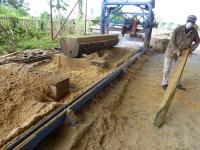 Máquina de corte de madeira Serra balançante Twin Blade Sawmill Circular portátil Serra Máquina Dia 760mm